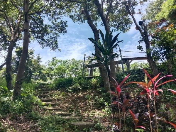 瑞芳區長青早起會觀景+碧峰岩步道2853997