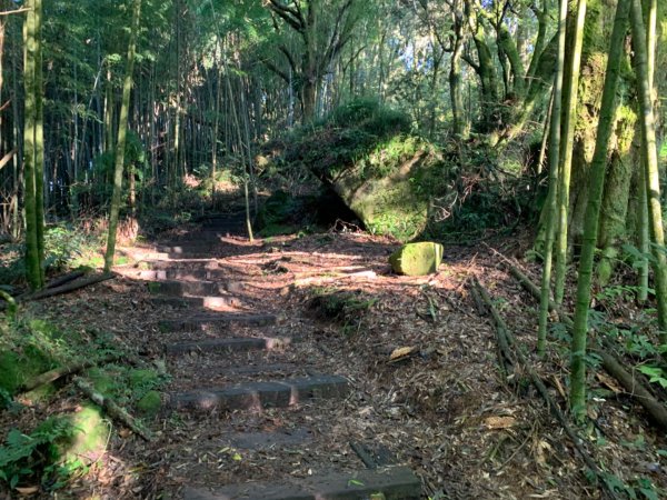 大凍山（小百岳）1117310