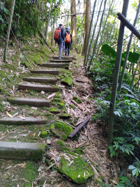 2022-04-09 迷糊步道_福山古道O型1668180