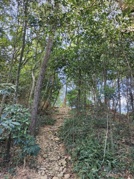 2023.11.01 蓮華山古道群2489017