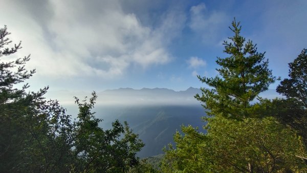 苗栗雪見大板根神木2564778