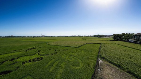 三奇美徑,52甲濕地,傳藝中心2518179