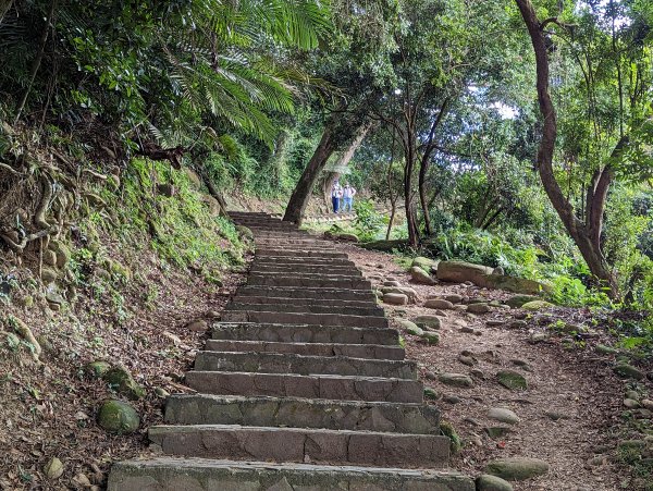 【百大必訪步道】飛鳳山、觀日坪古道1981993