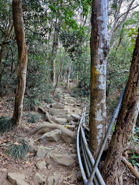 小百岳集起來-里龍山2184723