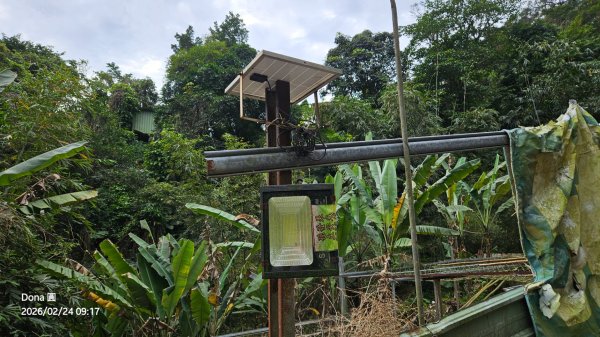 圓通寺烘爐地登山步道大O走3006981
