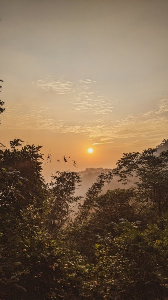 【南化甲仙】西阿里關山、白雲山1497077