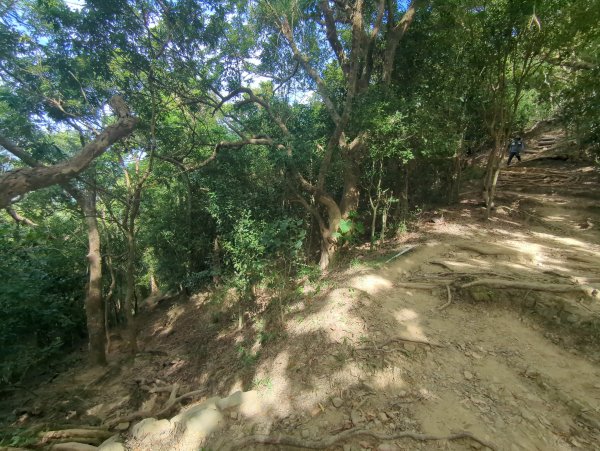 2024.12.21－旗尾山步道2677416