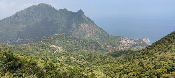 無耳茶壺山3106583