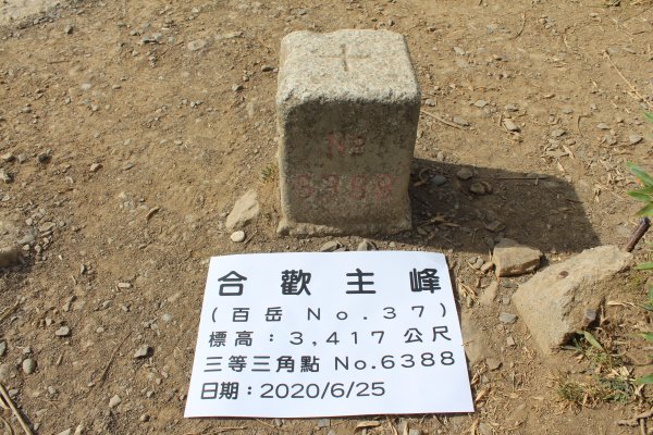 20200625南投合歡主峰1020314