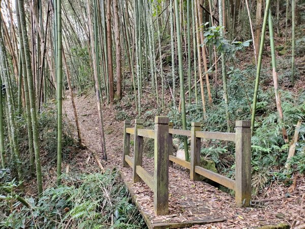 步道巡訪員 l 四大天王山步道第12巡～1212402