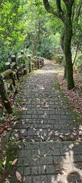 小百岳#017二格山1378972