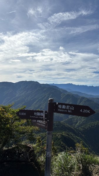 雲海2835147