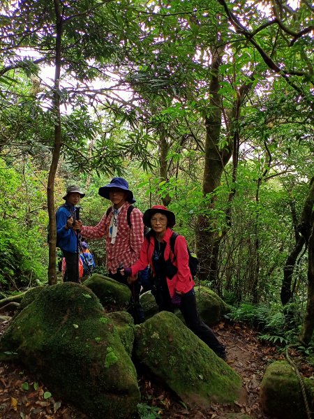 擎天崗→磺嘴山生態保護區→磺嘴山 H912m→翠翠谷→榮潤古道→內雙溪古道→冷擎步道→冷水坑1487600