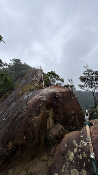 迎新（2026元旦2975569