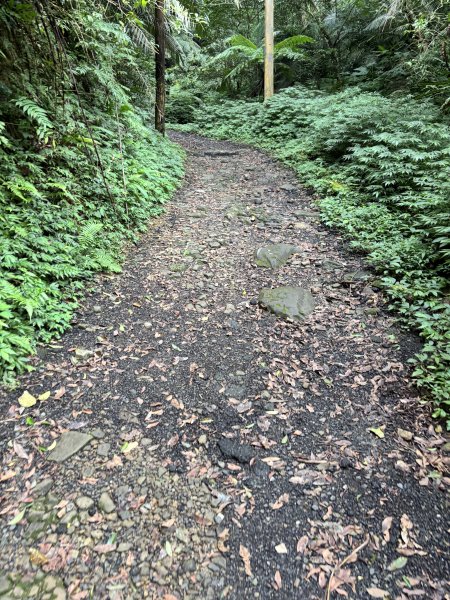 二格山、南邦寮山2941687