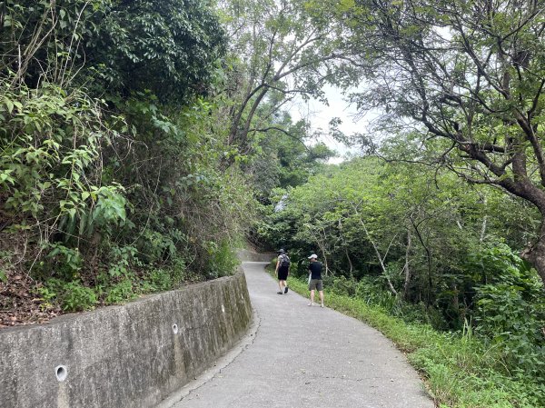 [山頂鳥40周年會員大縱走-07/15] 2024_0707 大坑9、10號步道2546661