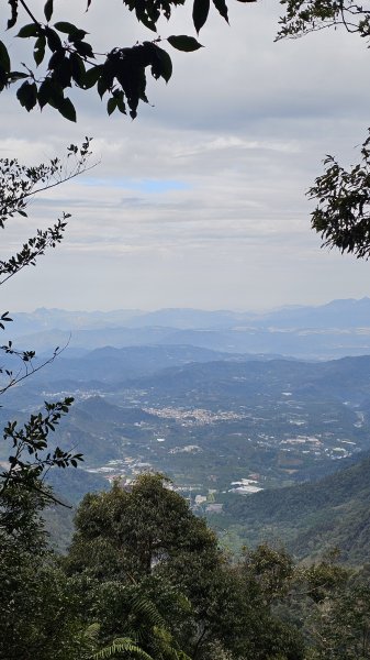 【中級山經典：水社大山、水社主峰】🥾4小時53分的征途，汗水與意志的考驗。2982559