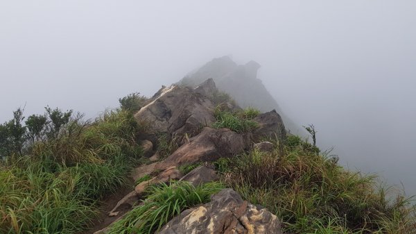 南子吝到茶壺山寶獅亭2301360