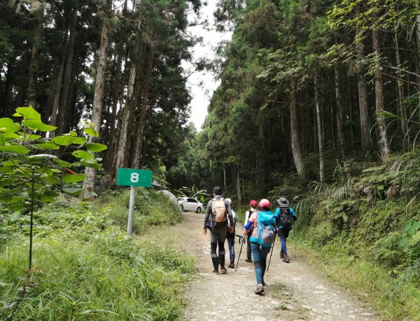 油羅山1上3下1023118