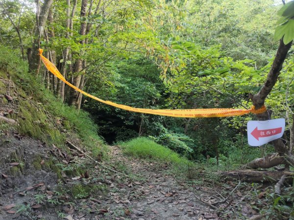 山海圳【大圳之路：第二段鳥山嶺水我古道 ⮕東3124349