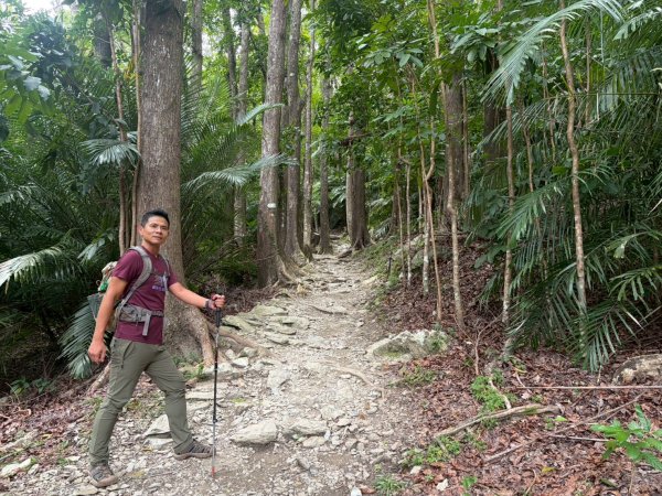 知本森林遊樂區2981307