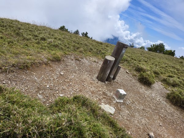 北一段(10/14)馬比杉山 2025_0906~132887147