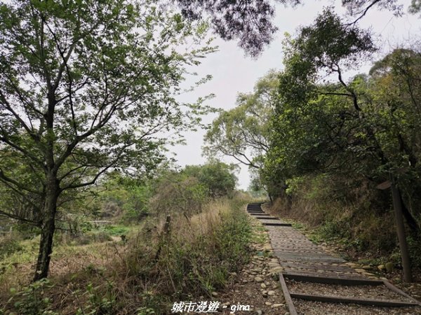 【台中龍井/大肚】竹坑南寮登山步道x瑞井登山步道O繞3031256