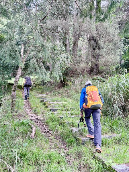 船型山神木悠遊    2025.09.222893807