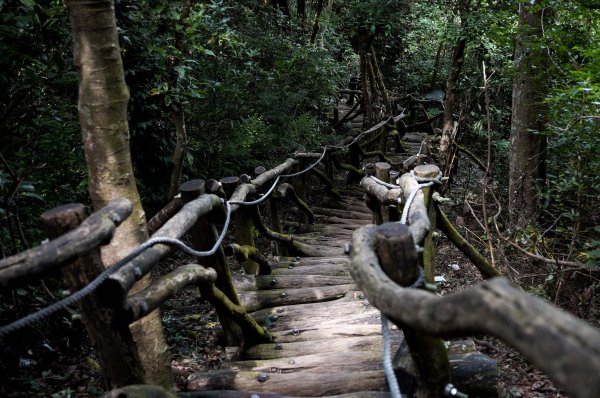 大坑1號步道2865266