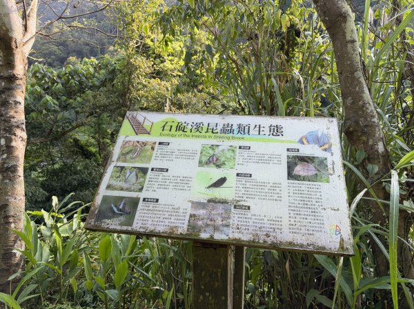 [淡蘭古道] 2026_0315 南路第二段_外按古道3016437
