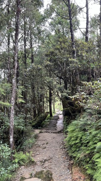 太平山翠峰湖環山步道2551614