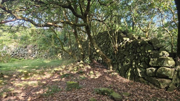 20251007冷水山西峰-三重橋山-挑硫古道-大油坑山前峰-大油坑山2907649