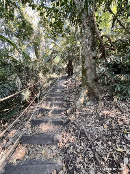 雪山坑步道（巨人之手）2986474