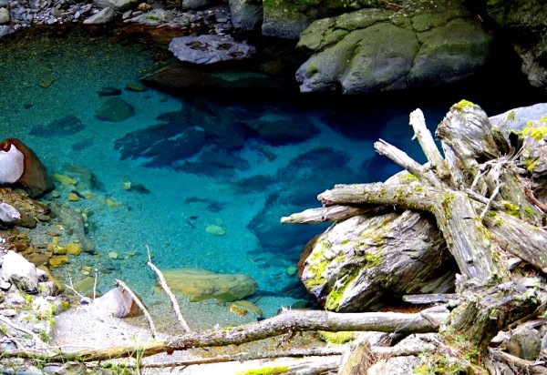 山風15度C吹拂 ~ 合歡溪 步道1551793