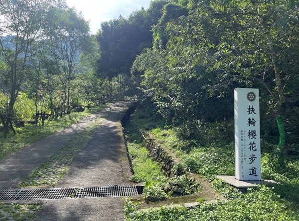 [阿龍尋寶任務]2023_0623_雲嘉大尖山、二尖山步道2204508