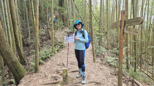 忘憂森林有一種美無法形容，雲霧繚繞，水氣朦朧，全台入園數第一名的森林遊樂區，溪頭自然教育園區2729333