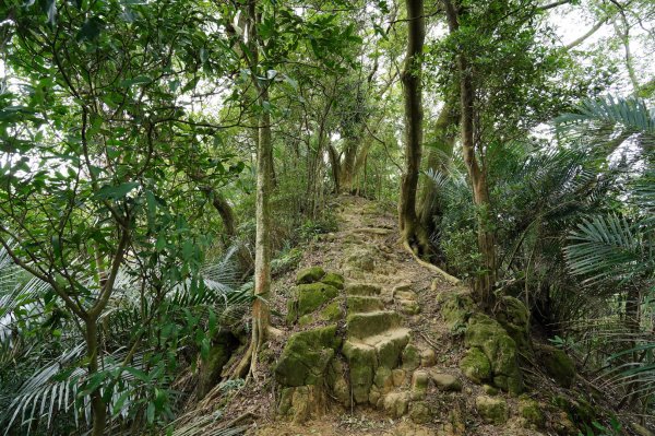 新竹 峨嵋 獅頭山、獅尾山、六寮山、猿山2450110