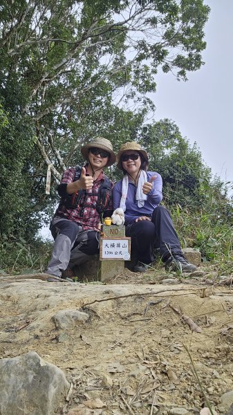 【稜線瘦如刀鋒，山形橫亙如屏風】解鎖第55座小百岳 #045 大橫屏山2932879