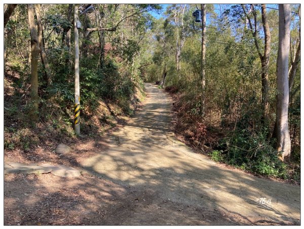 老崎古道、老崎坪頂山 (頭份)2737178