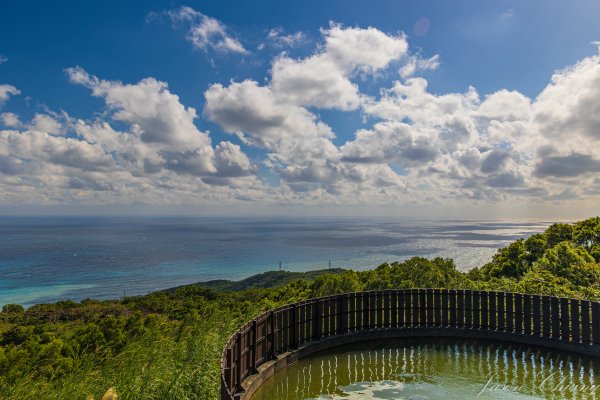 [台東]巴塱衛山2978307