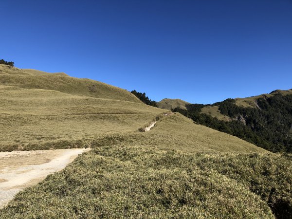 2019_1215_奇萊南峰_南華山2015829