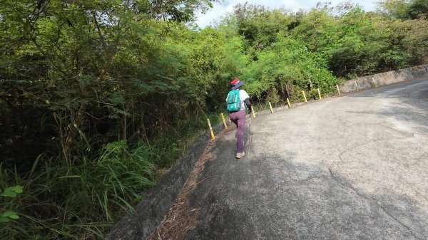 高雄 小崗山2927228