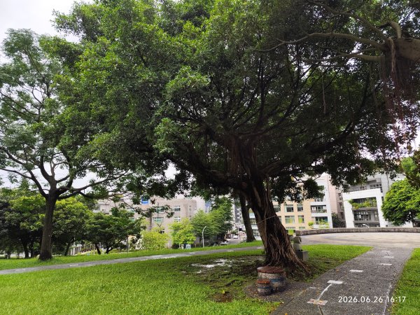 內湖瑞光公園3083350