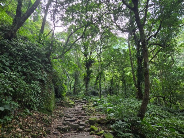 馬武督探索森林、外鳥嘴山2860601