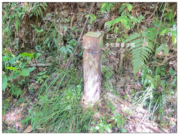 卡拉莫基步道、哈盆古道、波露南山 連走3094804