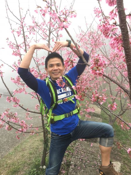 雲霧茶竹杉櫻-菜色澎湃的頂石棹仙境春遊