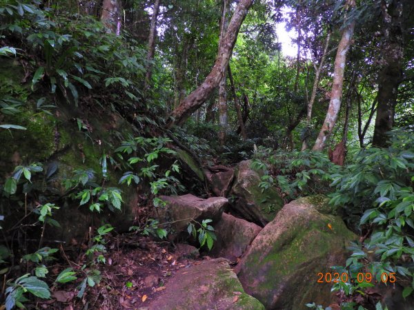 新竹 五峰 油羅山1088963