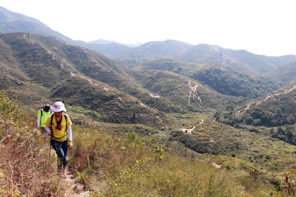 HK - 青山復地1482581