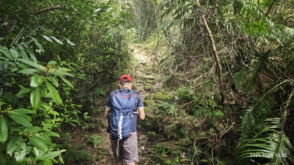 20251109 士林站到大湖站(福山宮_腰繞_燕溪古道_翠山步道_龍船岩_大溝溪)2932339