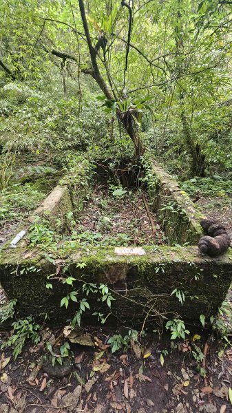 20260323后番仔坑山-內平林山-新路尾山-頂坑山-三貂嶺中心點3023695